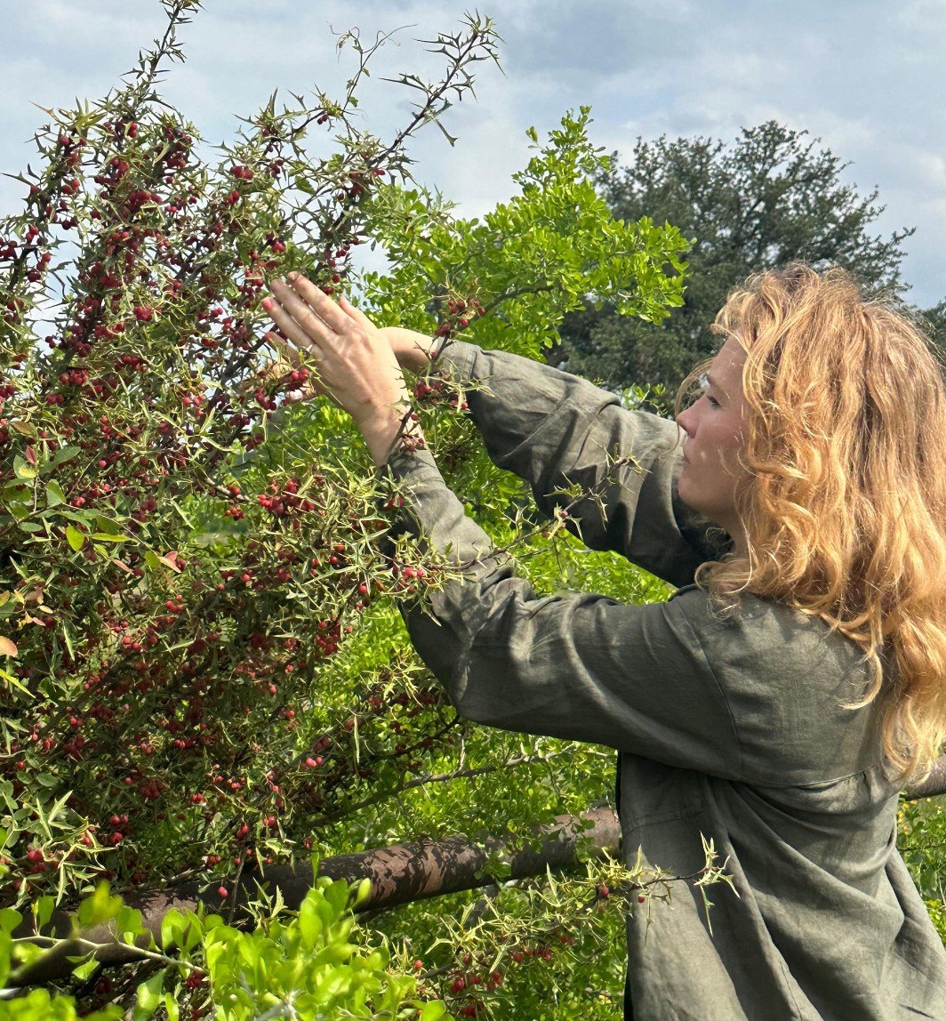 James Van Der Beek's Austin ranch home and interior design in Spicewood, Texas.