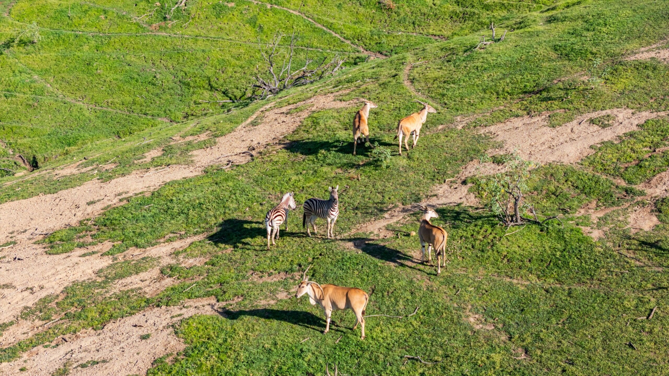 Wildlife sanctuary at Marconi Ranch in San Juan Capistrano, CA, on sale for $25,000,000