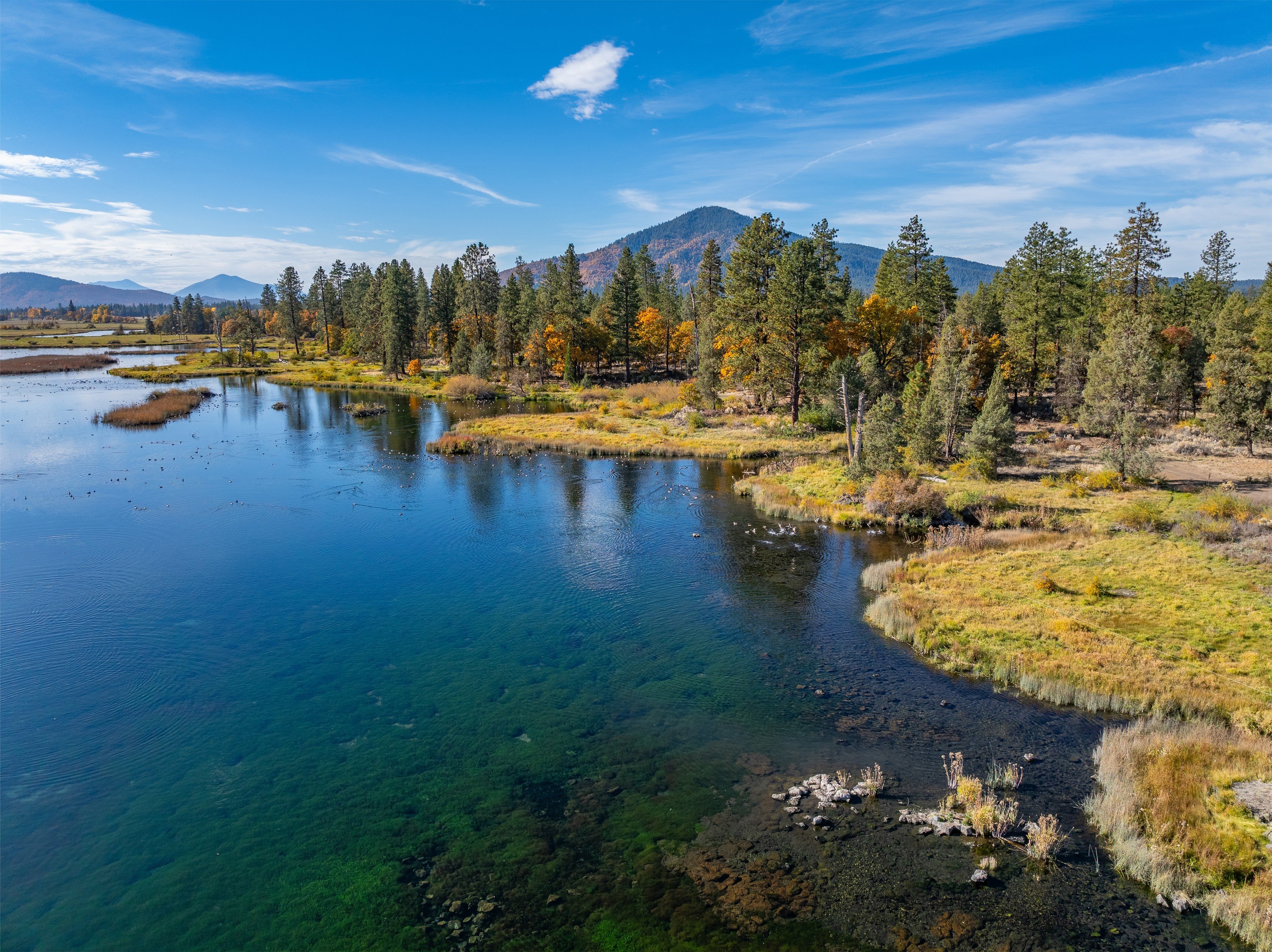 Land on a ranch in California belonging to billionaire Meg Whitman
