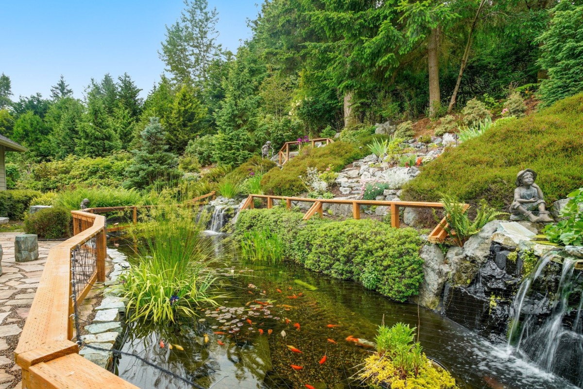 backyard waterfront environment
