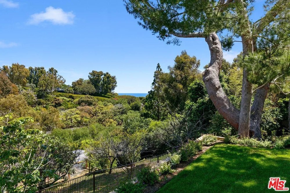 A scenic view from a grassy hillside overlooks a dense green valley with a glimpse of the blue ocean on the horizon.