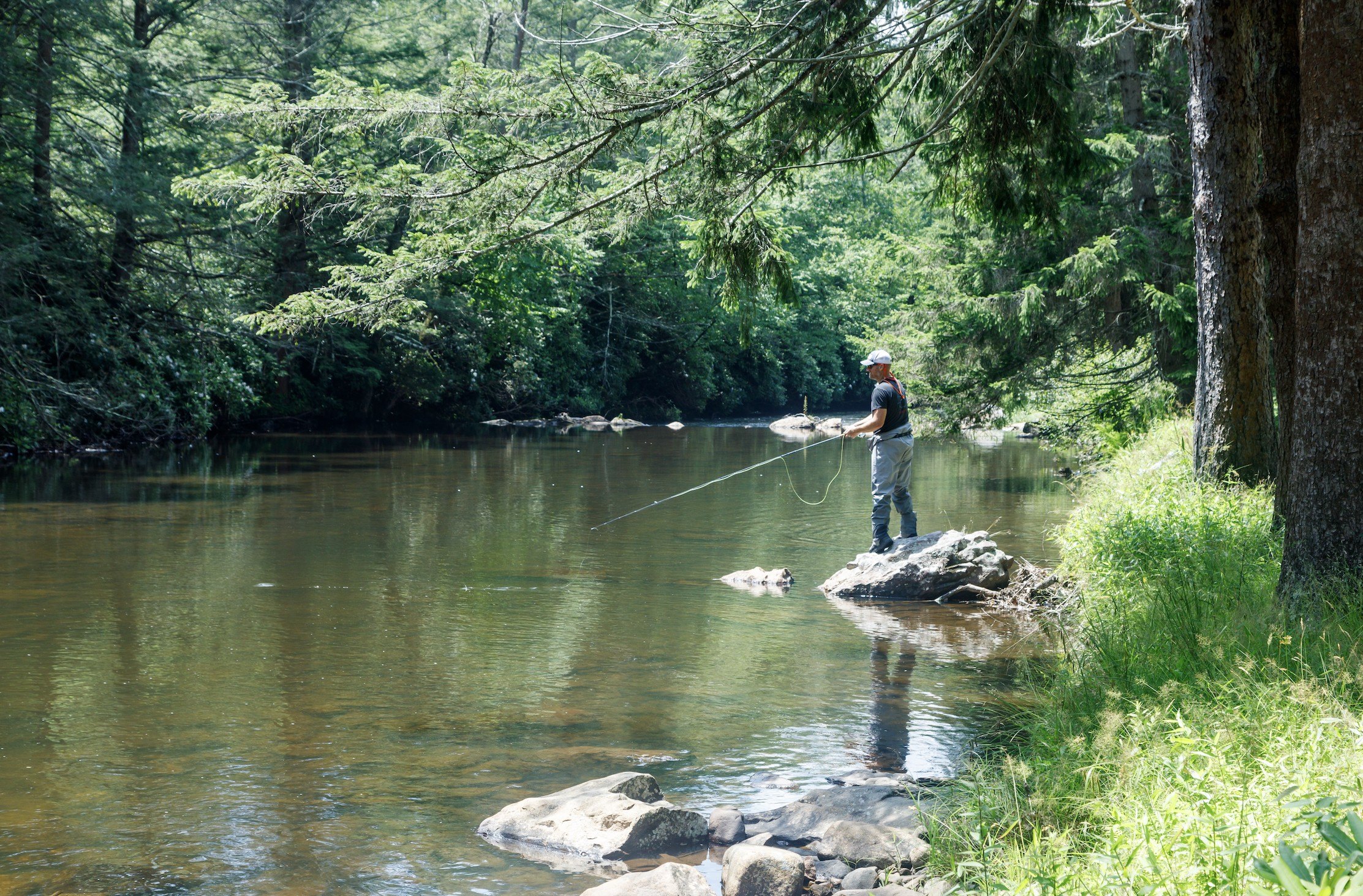 Photo of Fishing Pond at Graystones Preserve