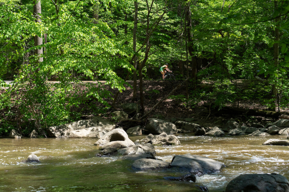 Cyclist in Rock Creek Park