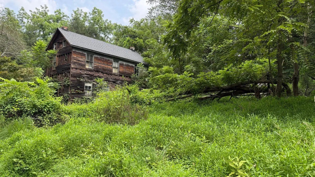 PICTURED: $300K Maryland Home Is Overrun by Feral Cats and Raccoons