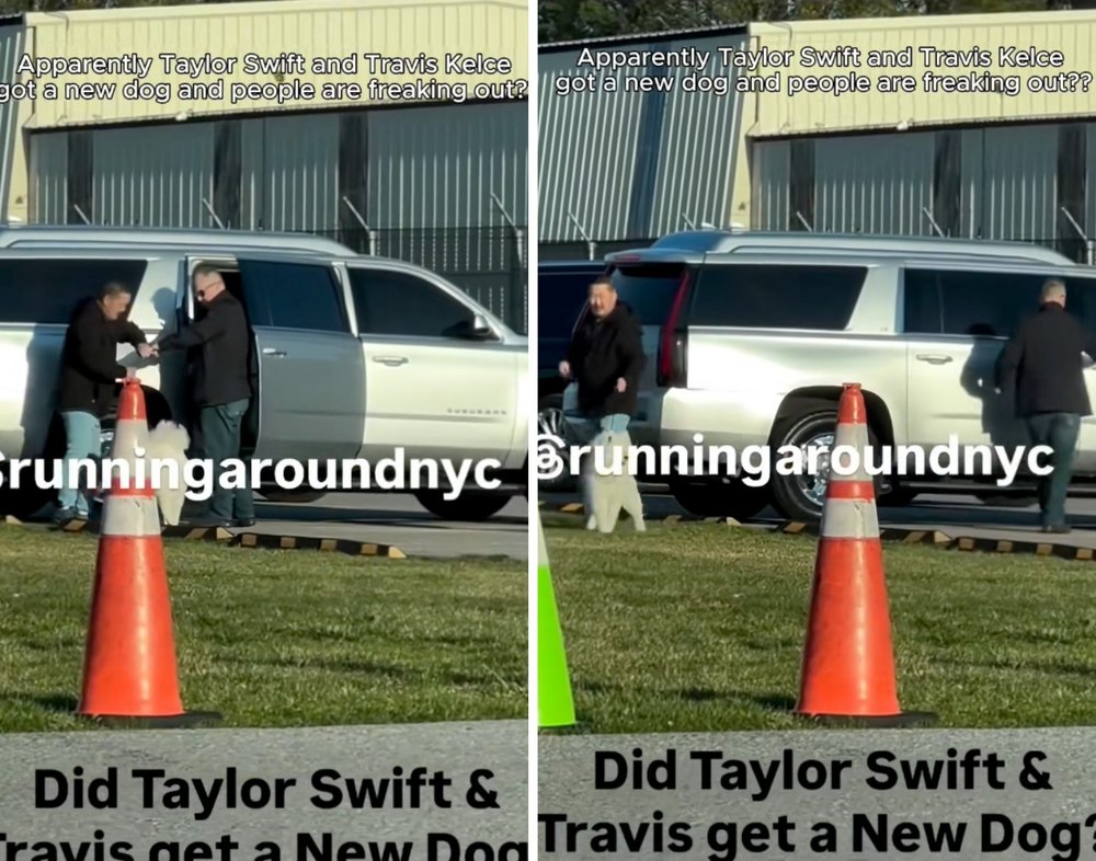 Taylor Swift and Travis Kelce Welcomed Exciting New Addition to Their Home Months Before Wedding