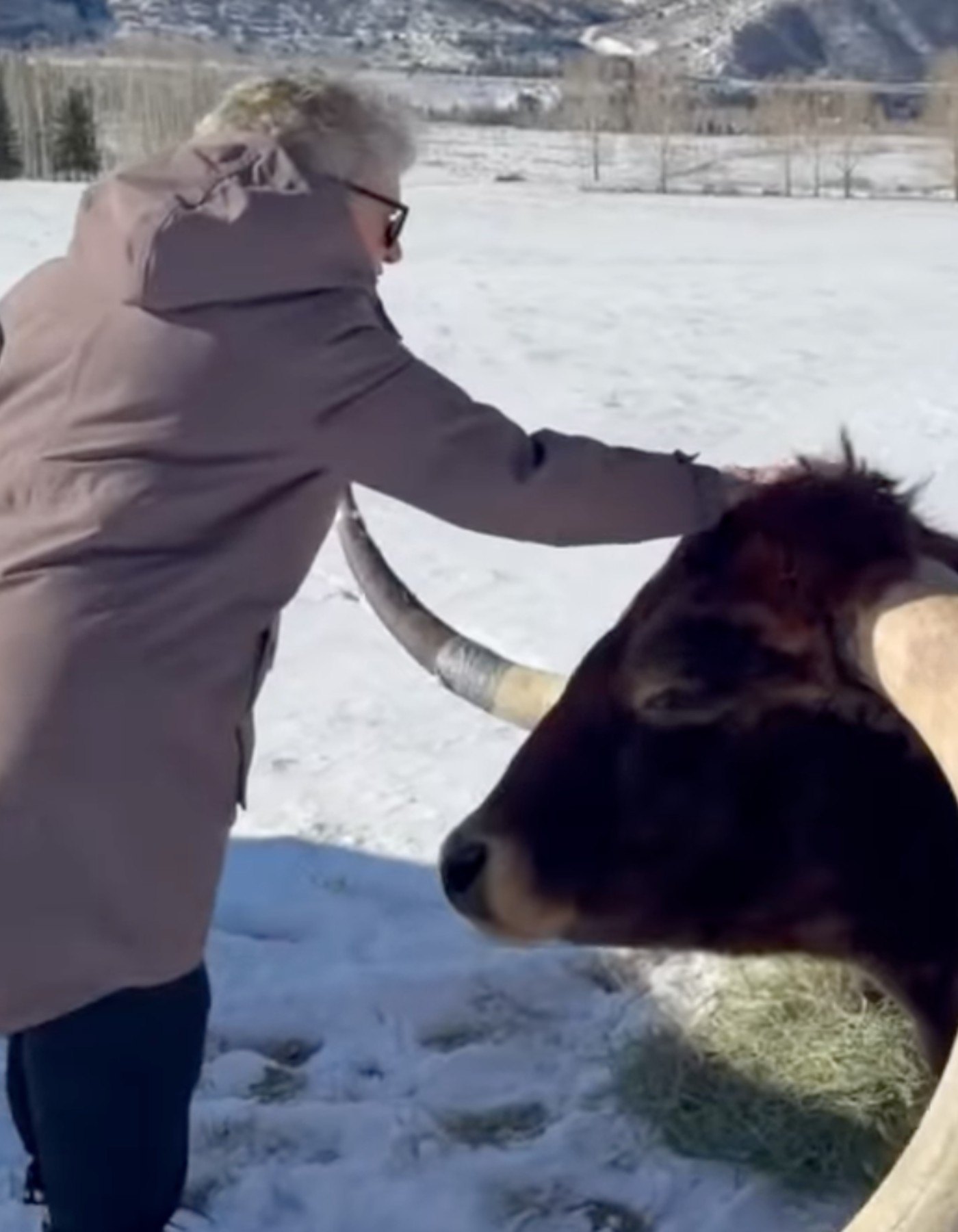 Lewis Hamilton's Colorado home