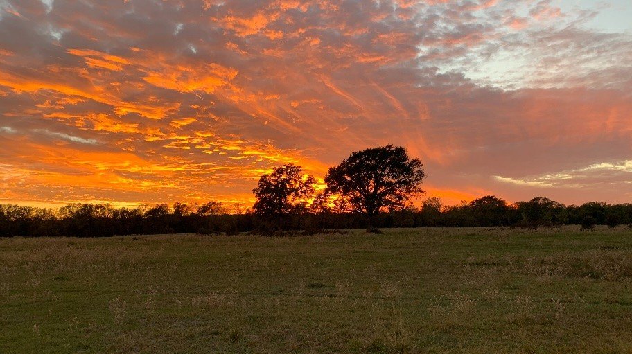 Photo of Frio County Texas land, mineral rights for sale
