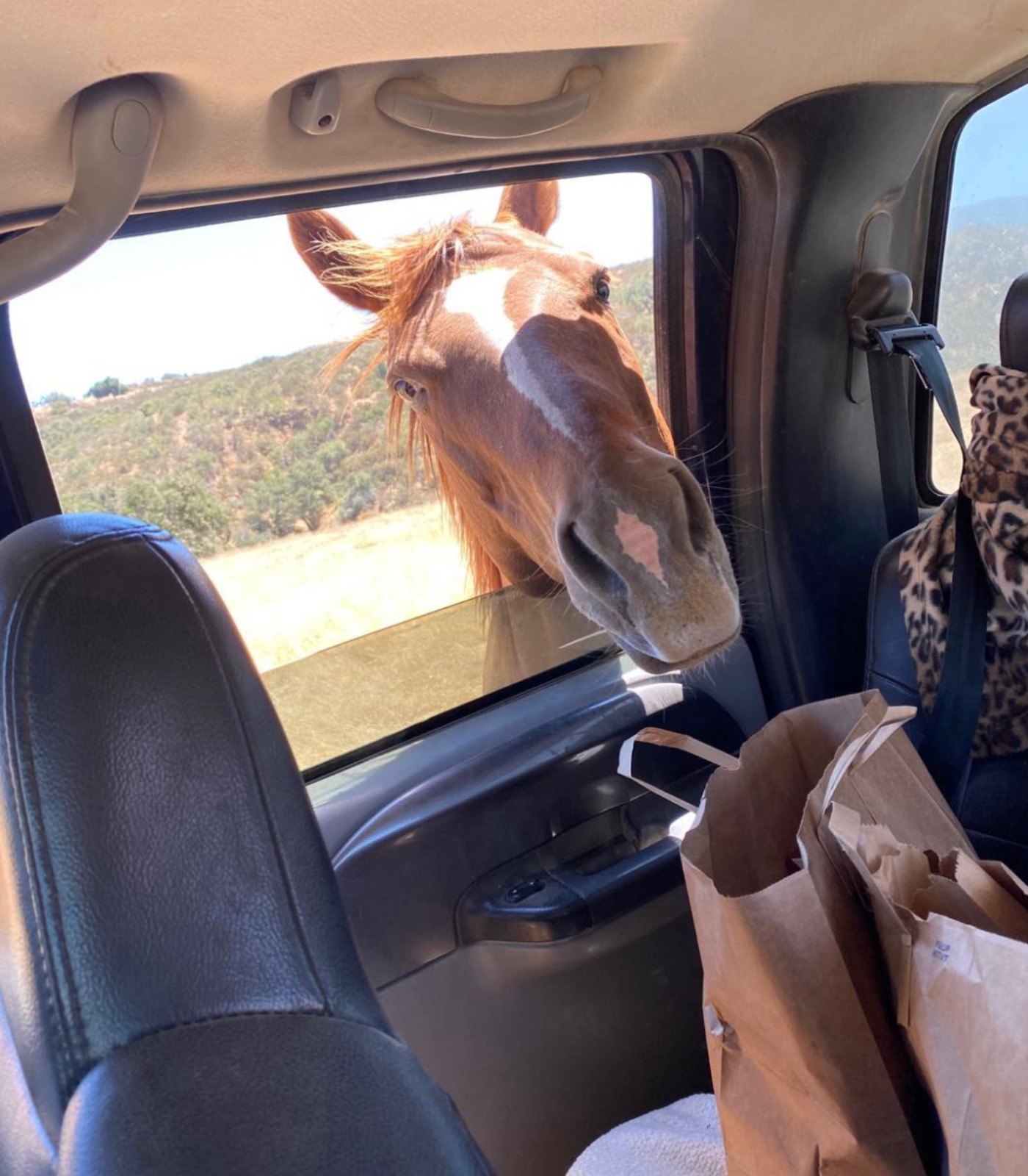 Kelly LeBrock shows off life on her ranch