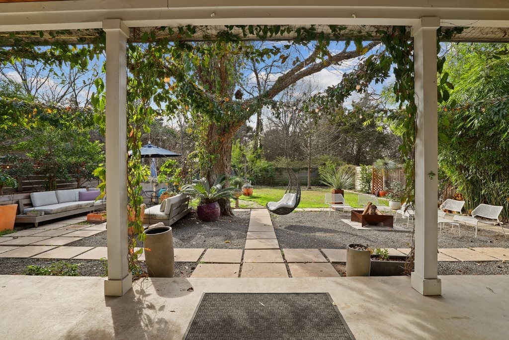 climbing plants design