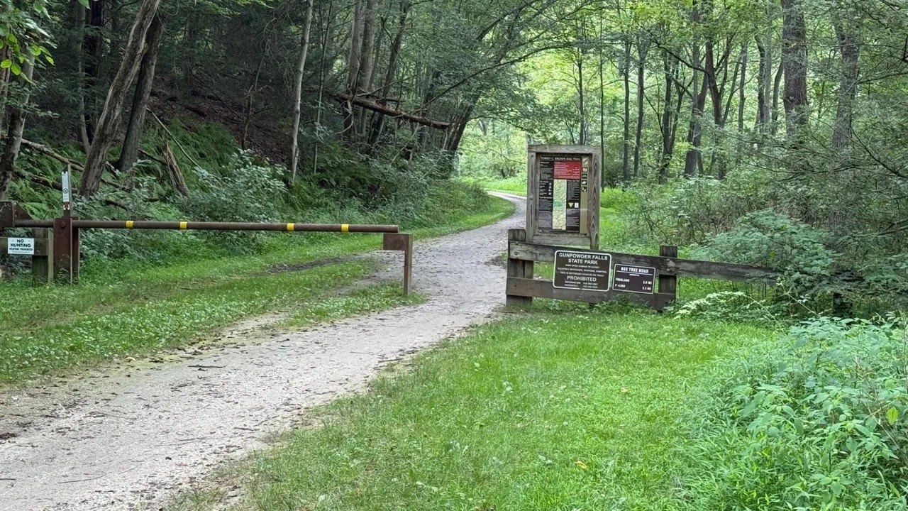 PICTURED: $300K Maryland Home Is Overrun by Feral Cats and Raccoons