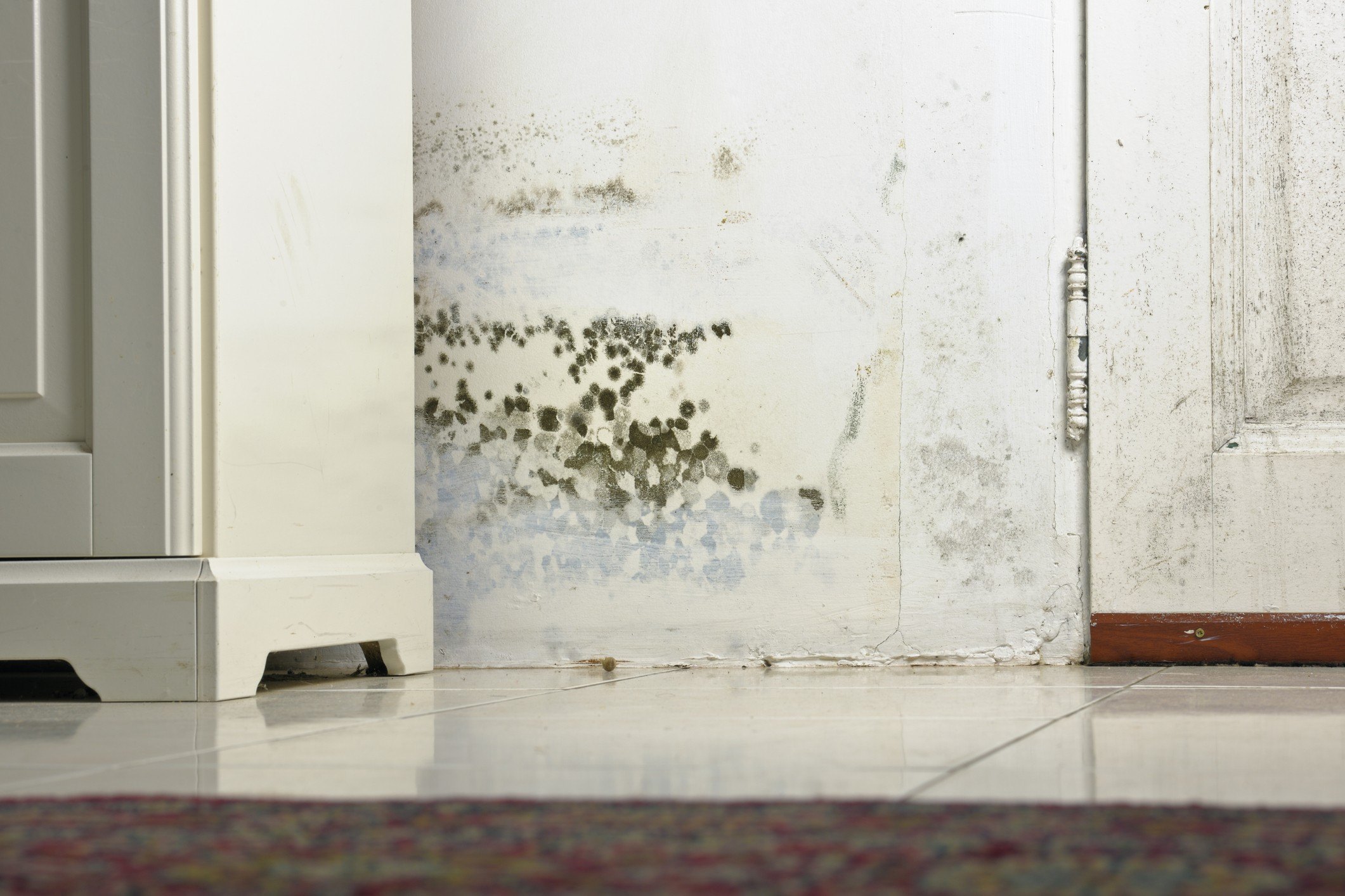 Mold growth on a wall in a home
