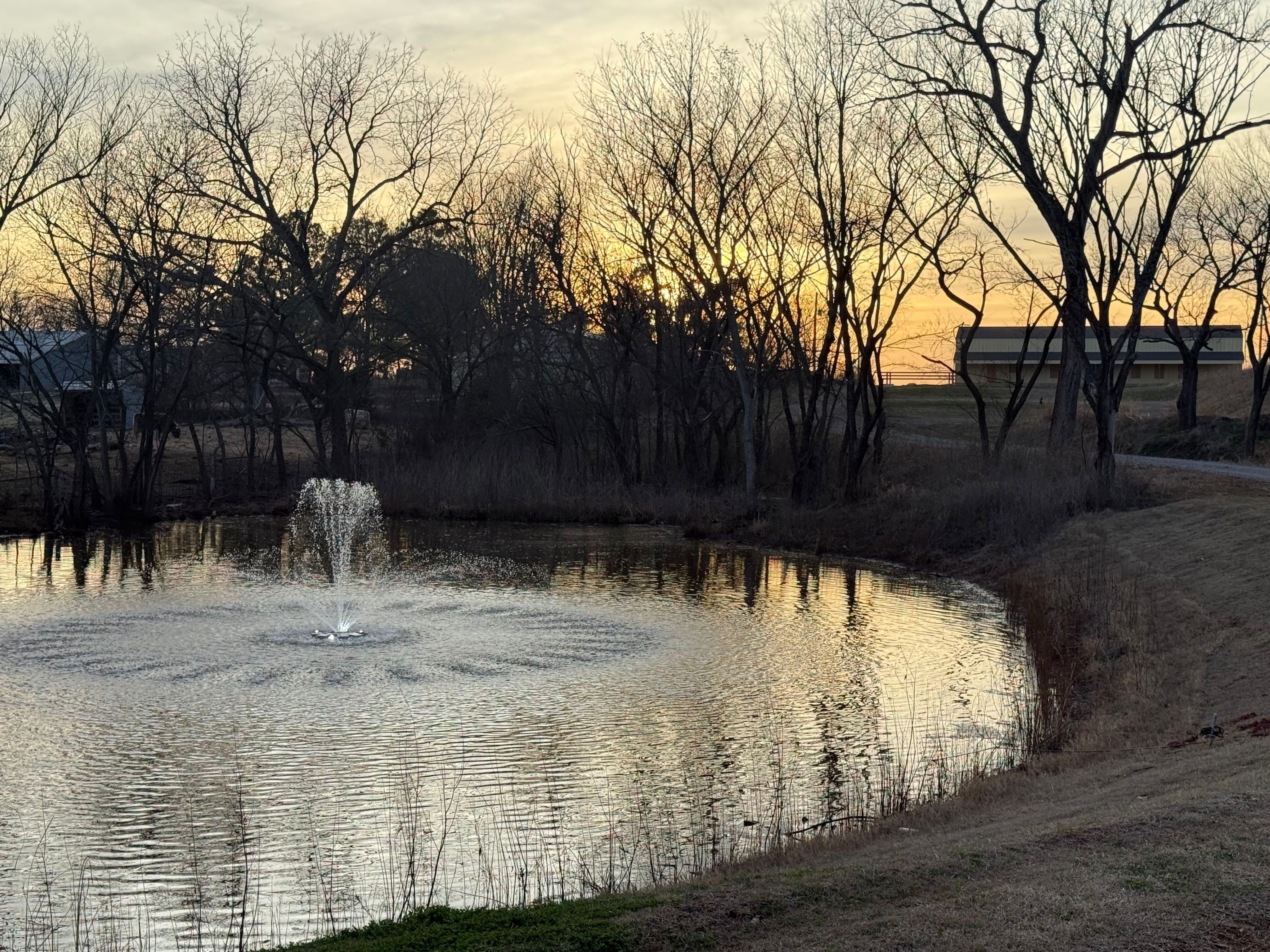 Photo of pond and fountain in Boxabl community