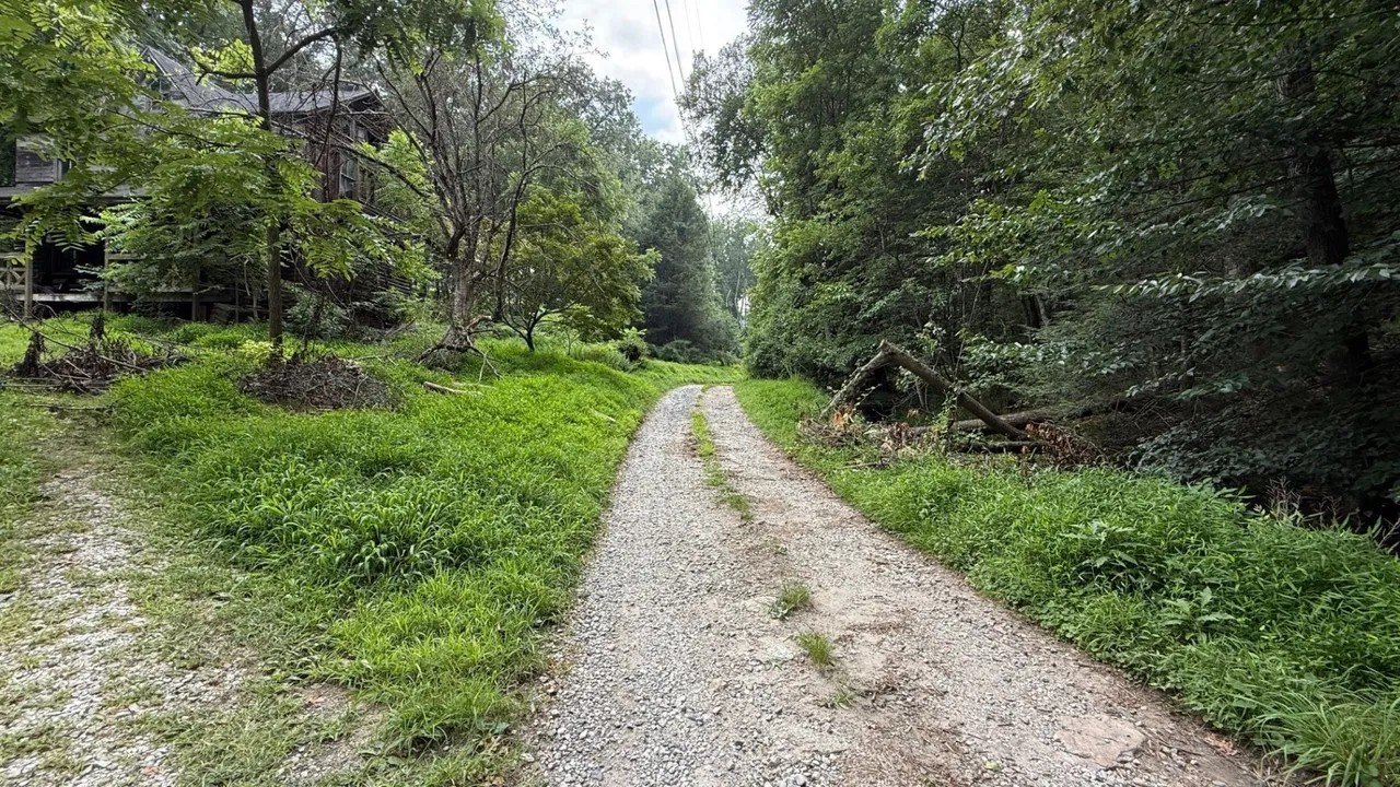 PICTURED: $300K Maryland Home Is Overrun by Feral Cats and Raccoons