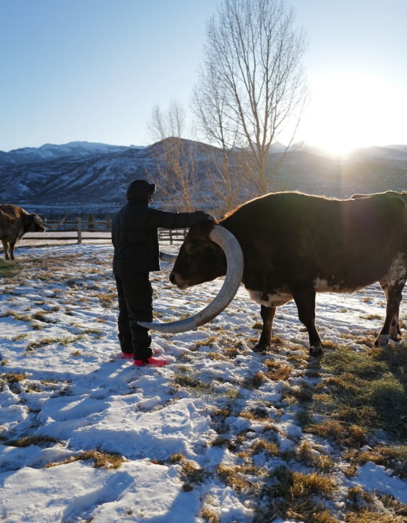 Lewis Hamilton's Colorado home