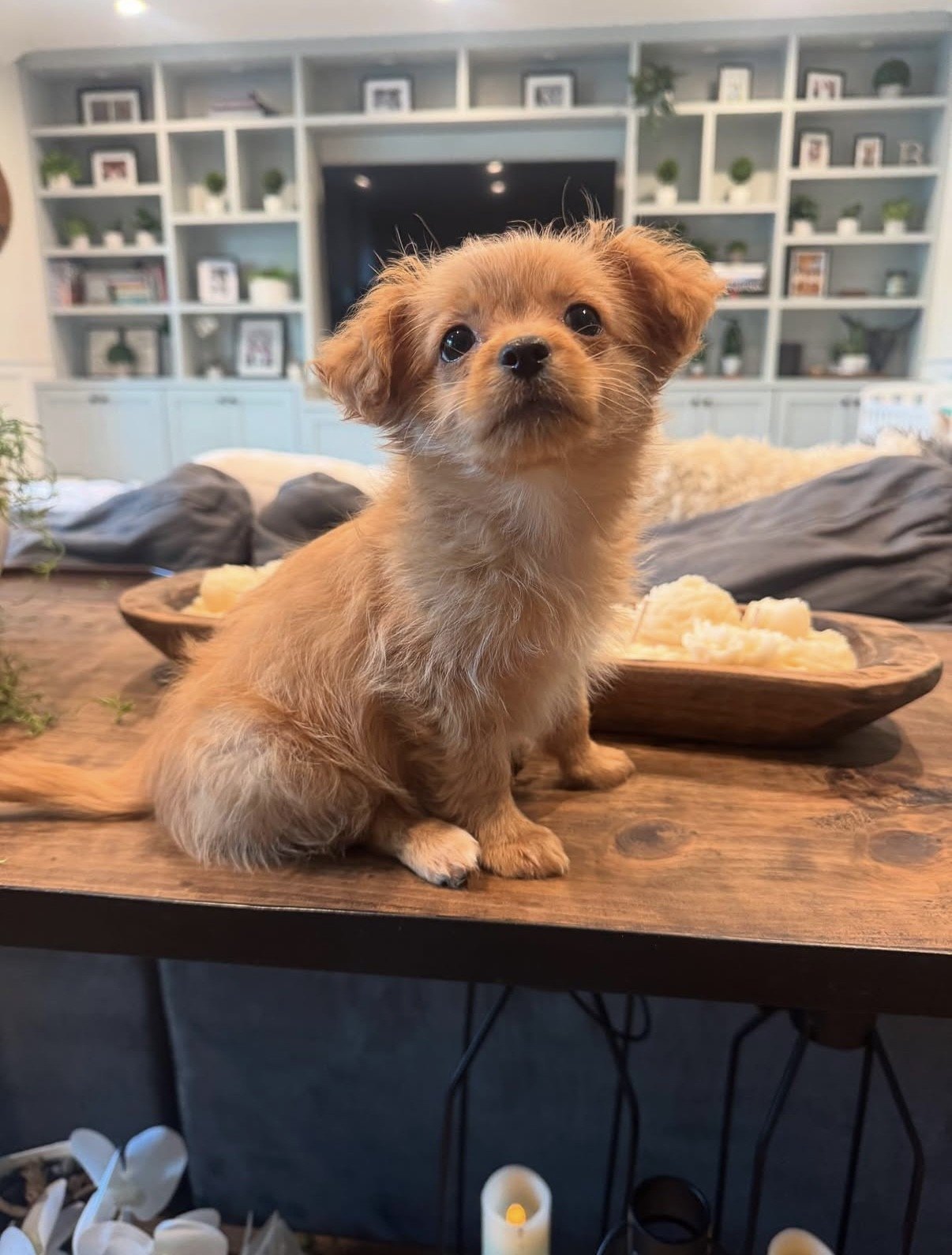 Cartwright has a cat and three dogs who also call her modern farmhouse-style abode home.