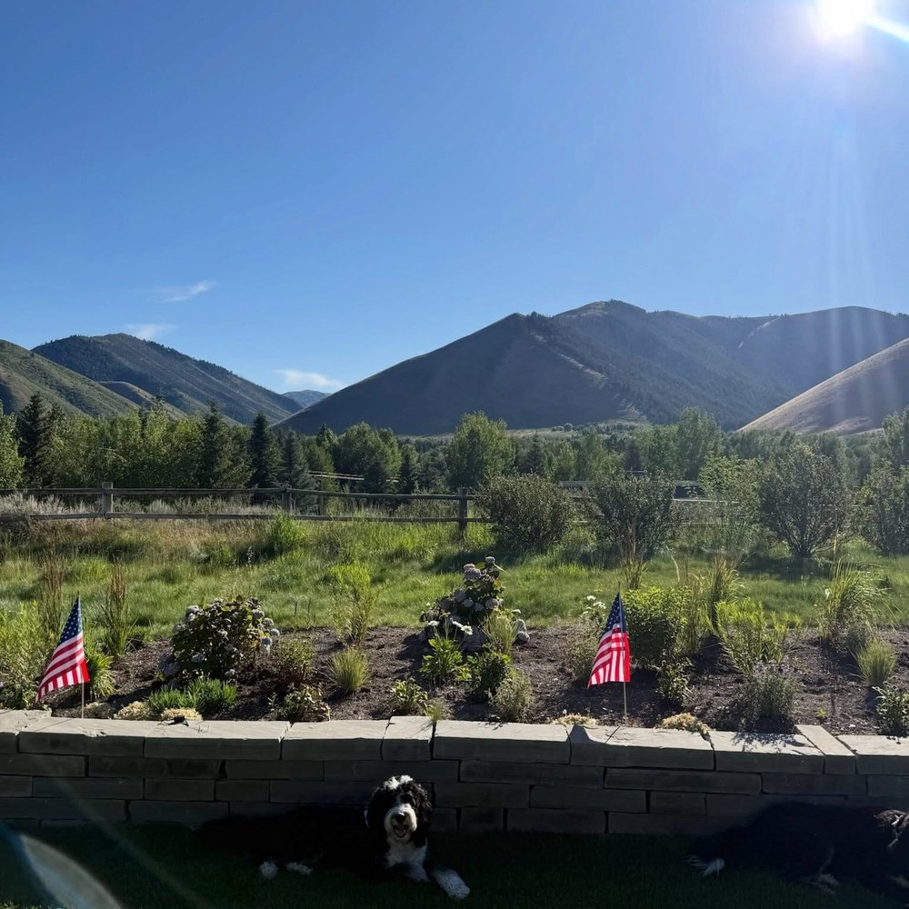 Scenic Mountain Valley View with American Flags and a Dog
