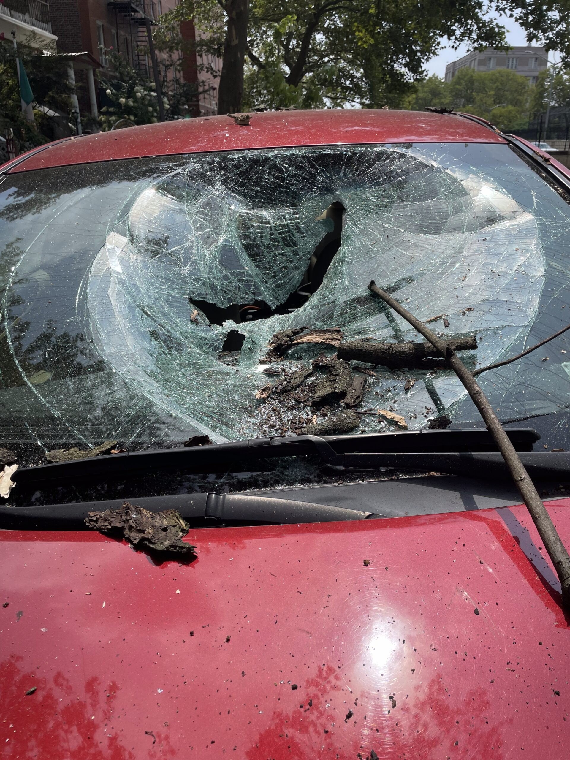 Damaged windshield and hood of car.