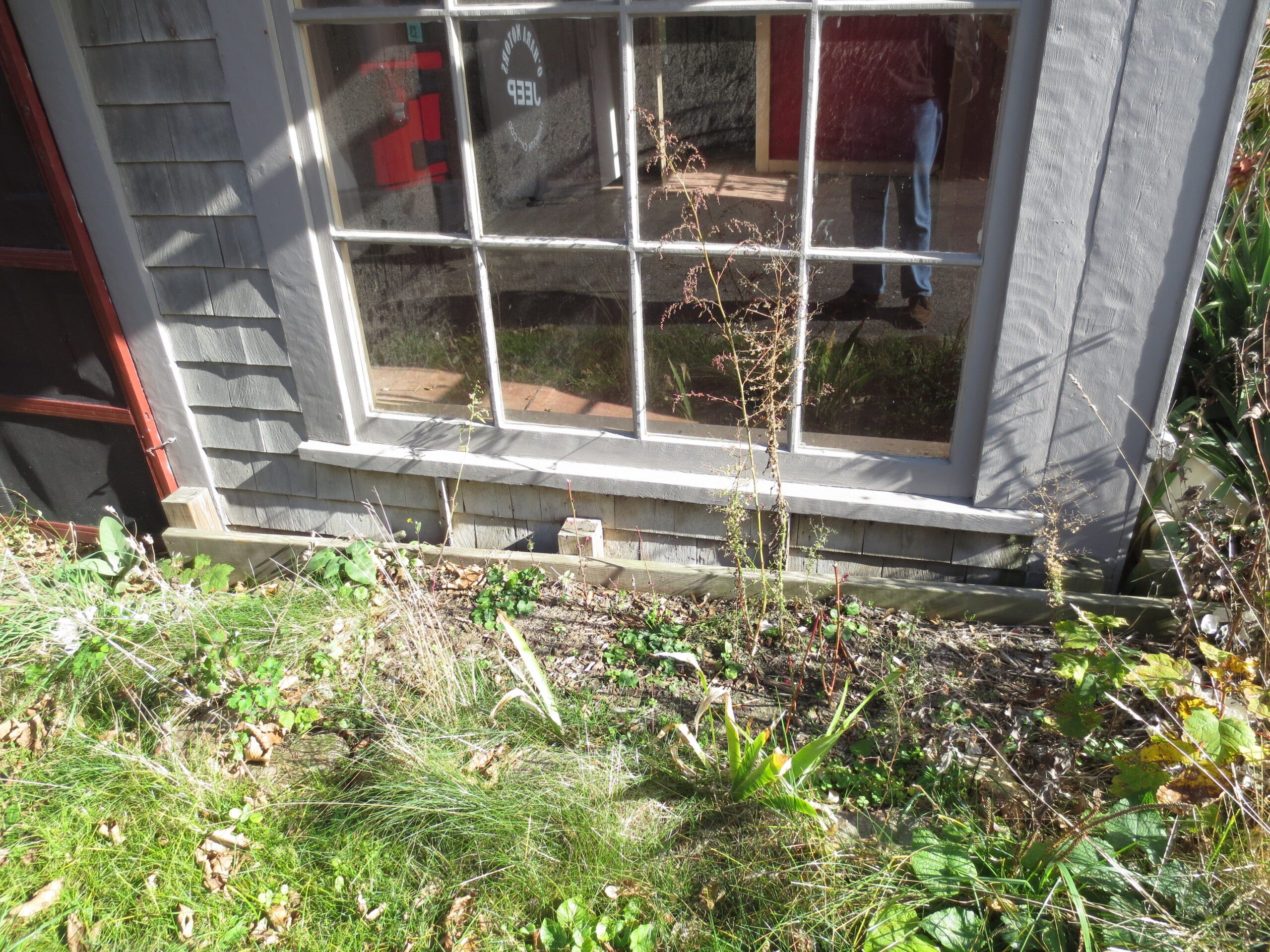 The house had sunken so low the front windows were only a little over a foot above ground.