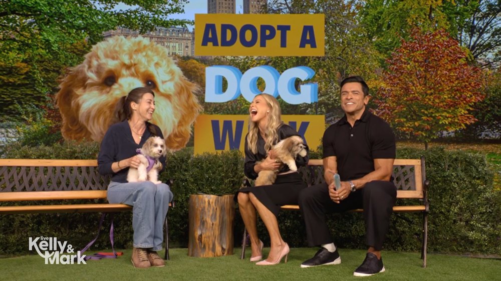 Kelly Ripa and Mark Consuelos host a segment about adopting dogs.