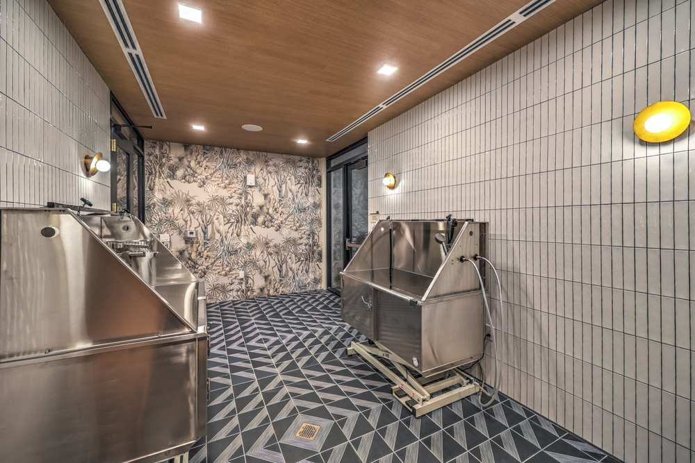 Luxury dog grooming facilities