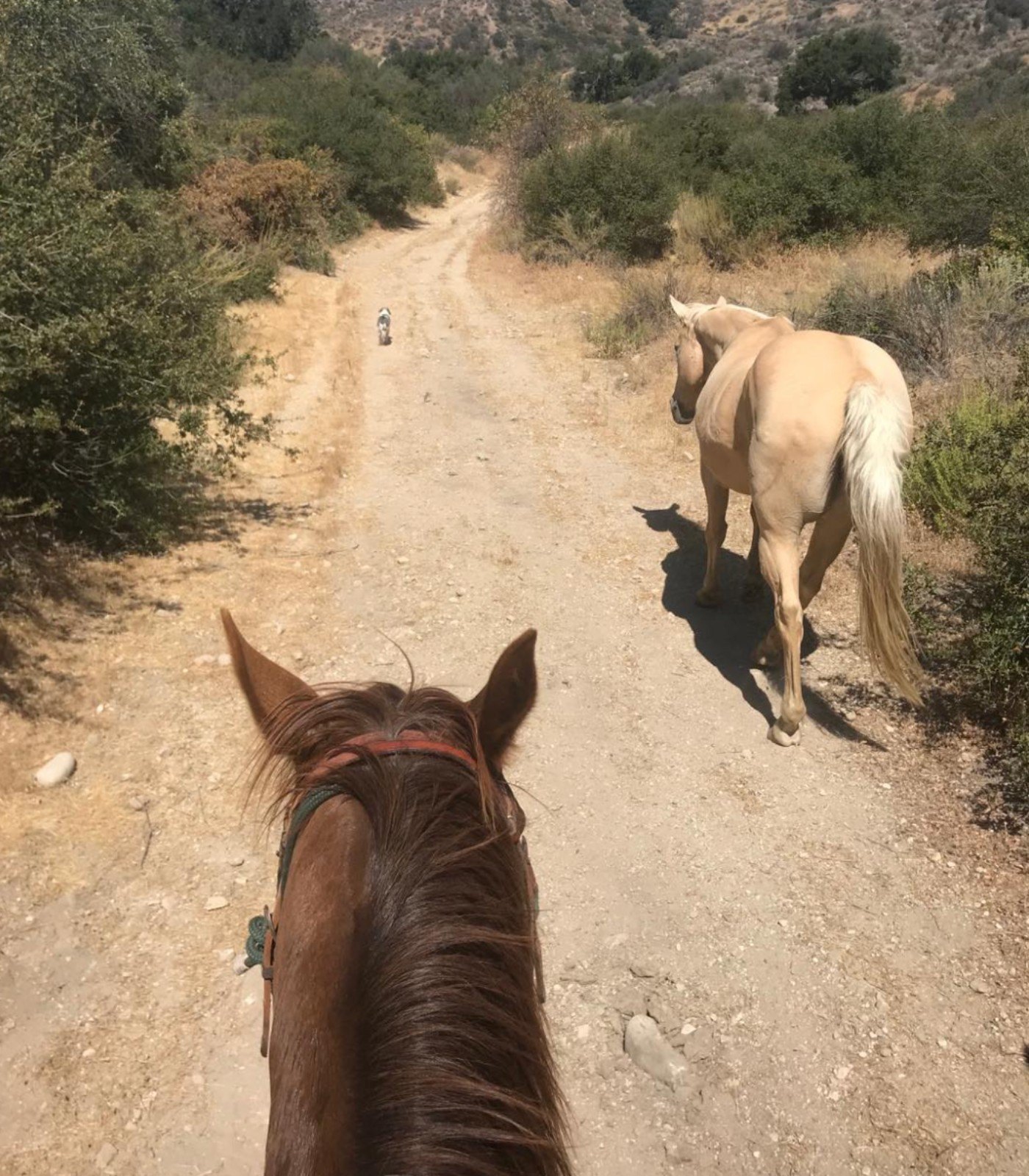 Kelly LeBrock shows off life on her ranch