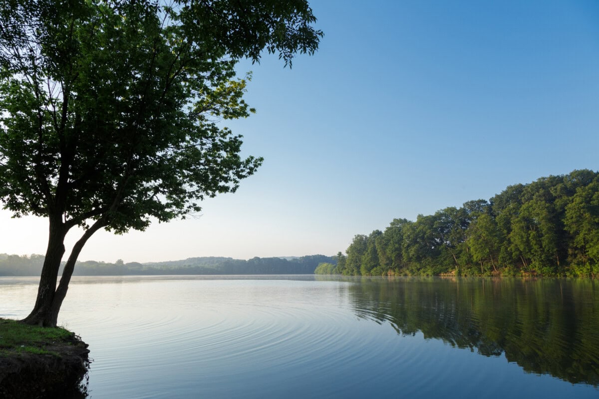 blue marsh lake with trees in pennsylvania