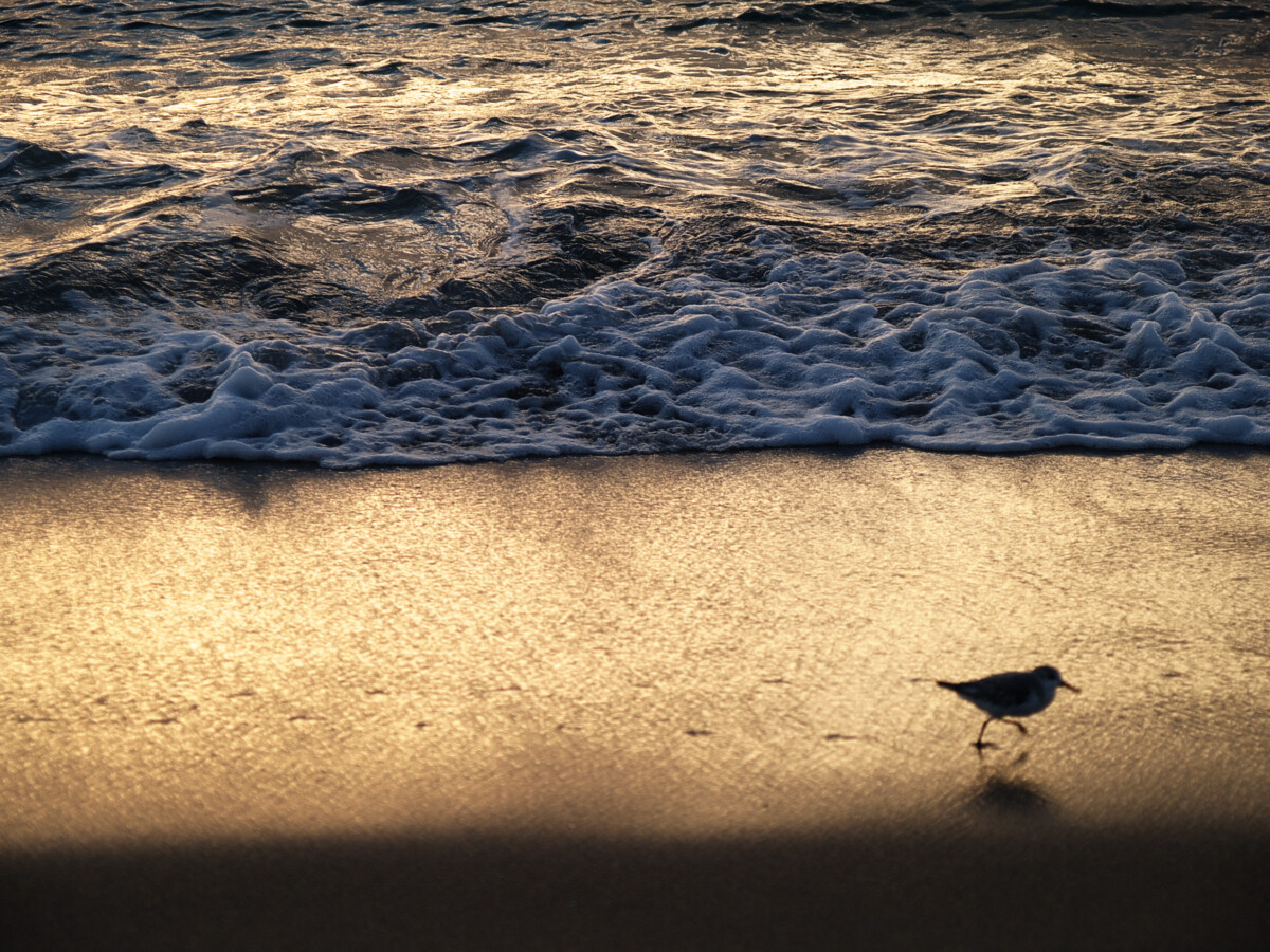 beach view in boca raton florida_Getty