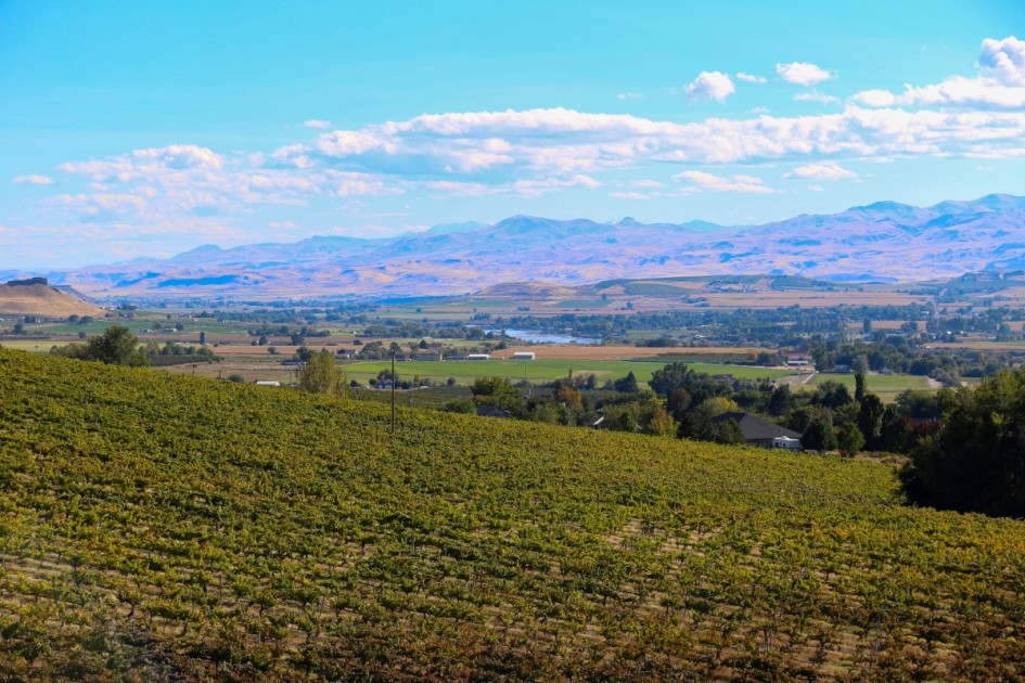 The city of Caldwell, ID near Meridian
