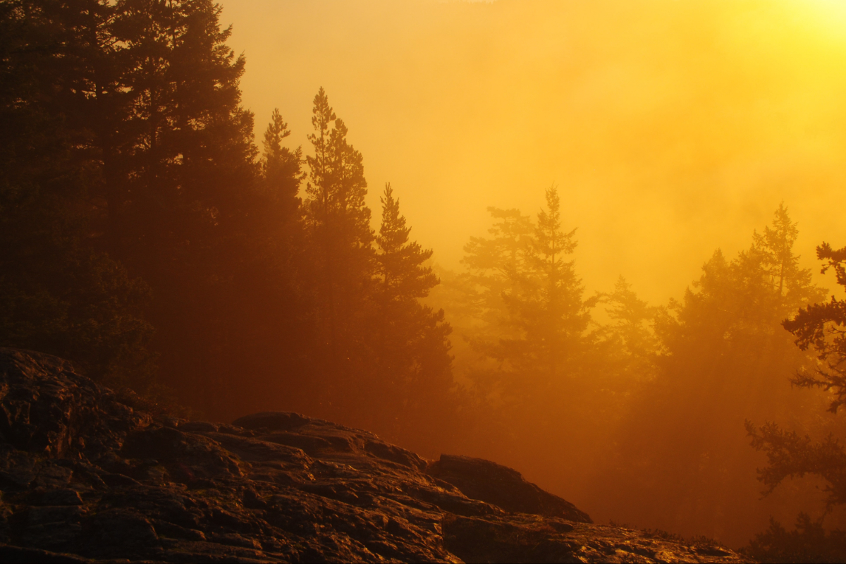 Oyster Dome at Sunrise