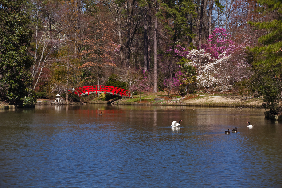 A bridge in Durham, NC
