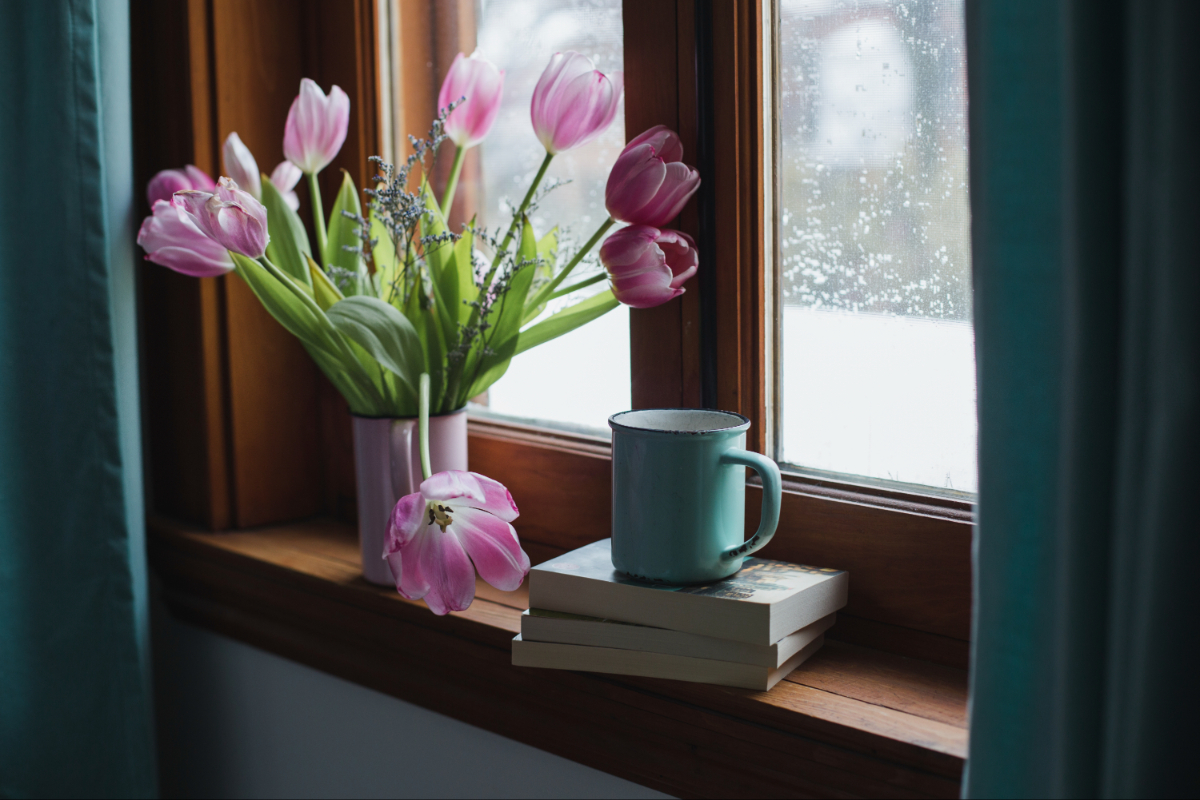 Flowers on a window sill