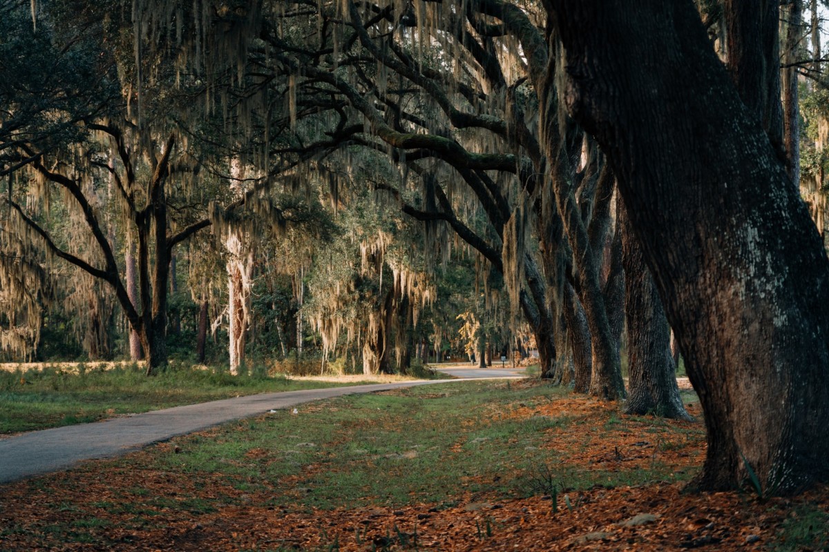 Daufuskie Island, South Carolina