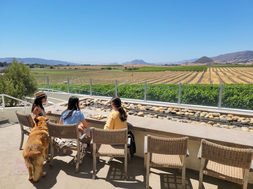 Three women and a dog sit overlooking a vineyard tasting wine at Edna Valley, a summer thing to do in San Luis Obispo