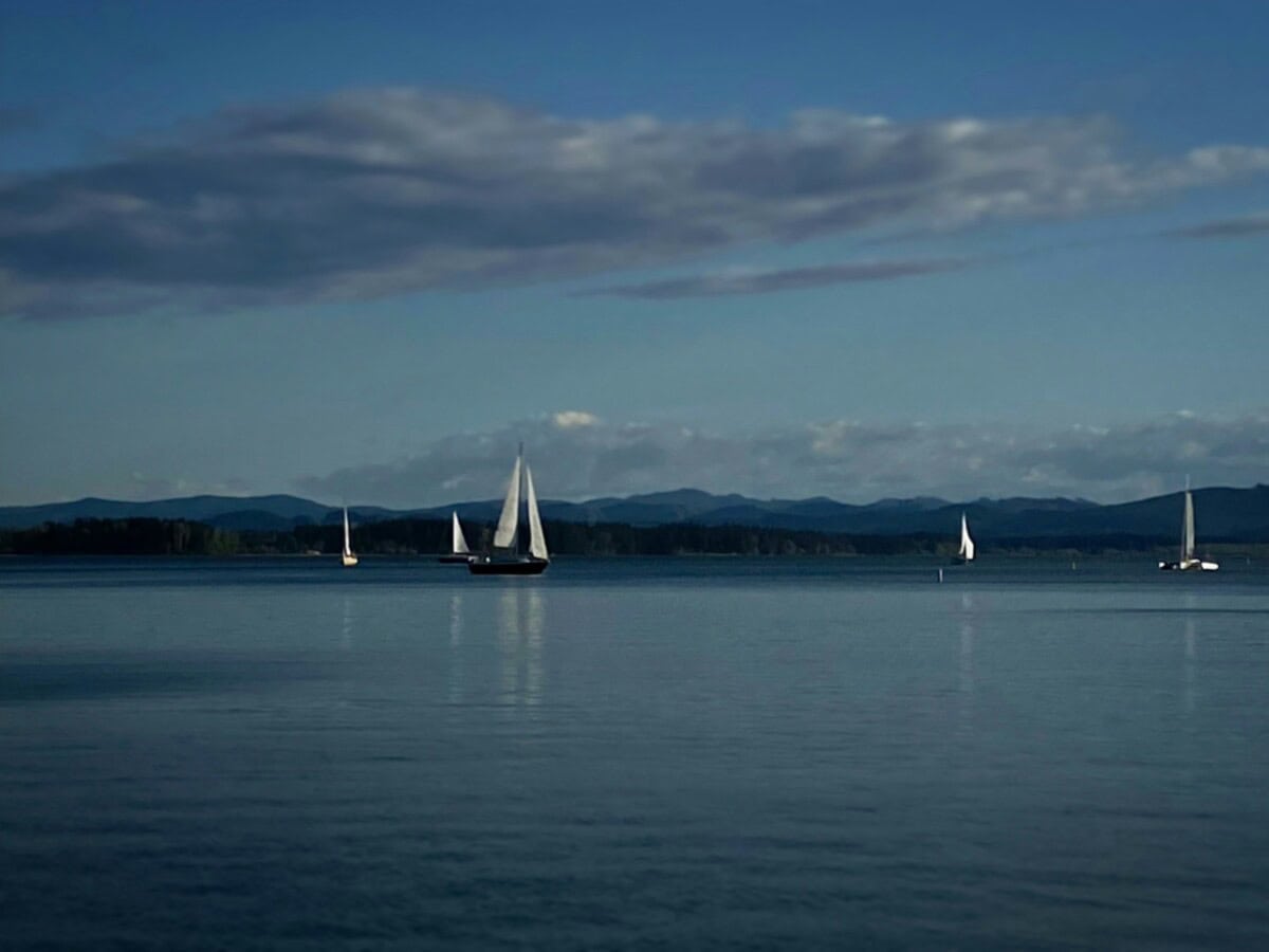 fern ridge lake in oregon with sailboats