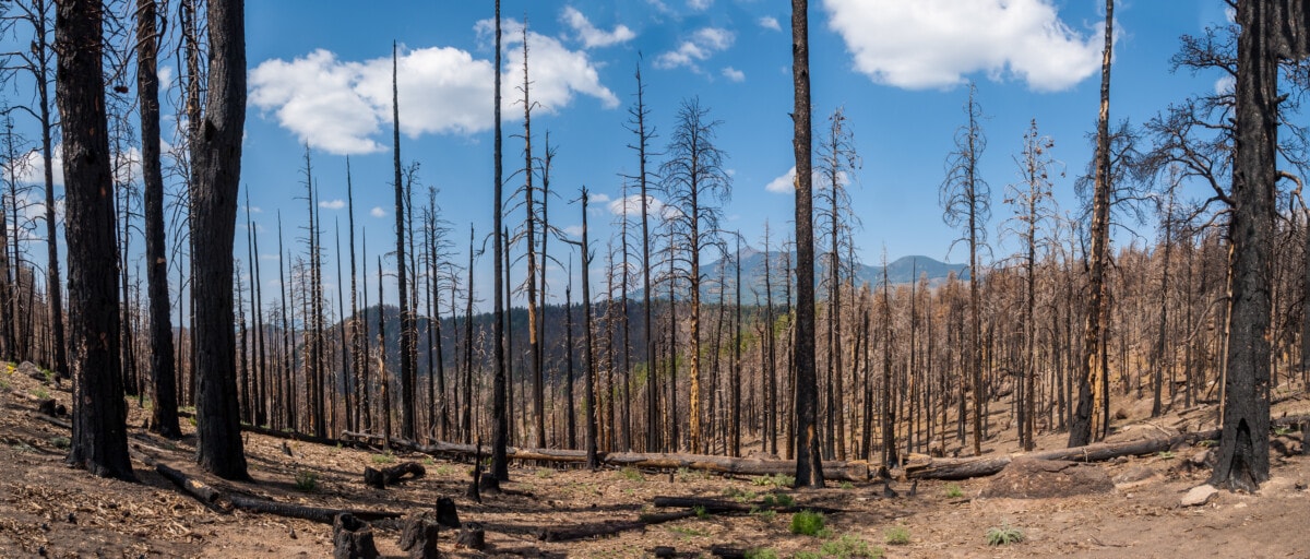 natural-disasters-in-arizona-4