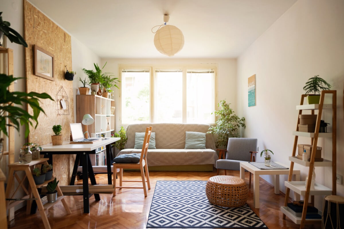 Interior design of a small apartment with shelves, plants and personal accessories