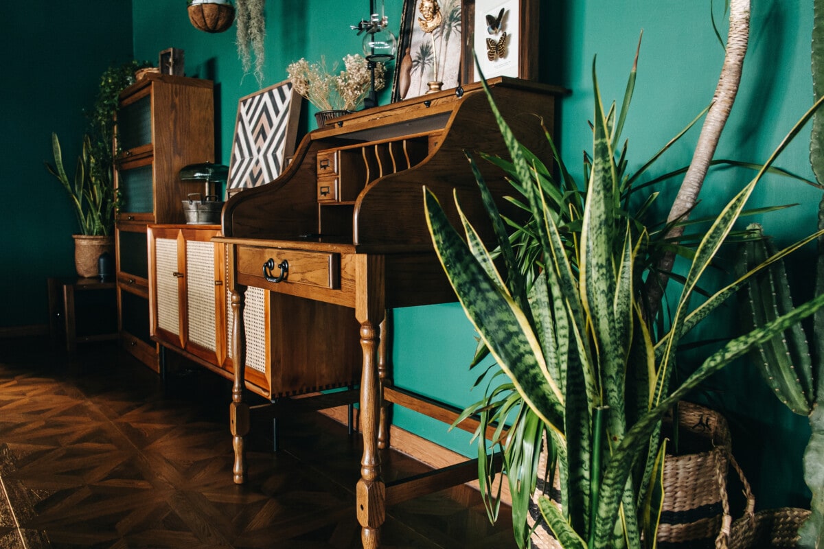 A stylish loft living room interior with brown coloured rattan furniture and wooden elements with dark green coloured wall. Decorated with plants and art pieces