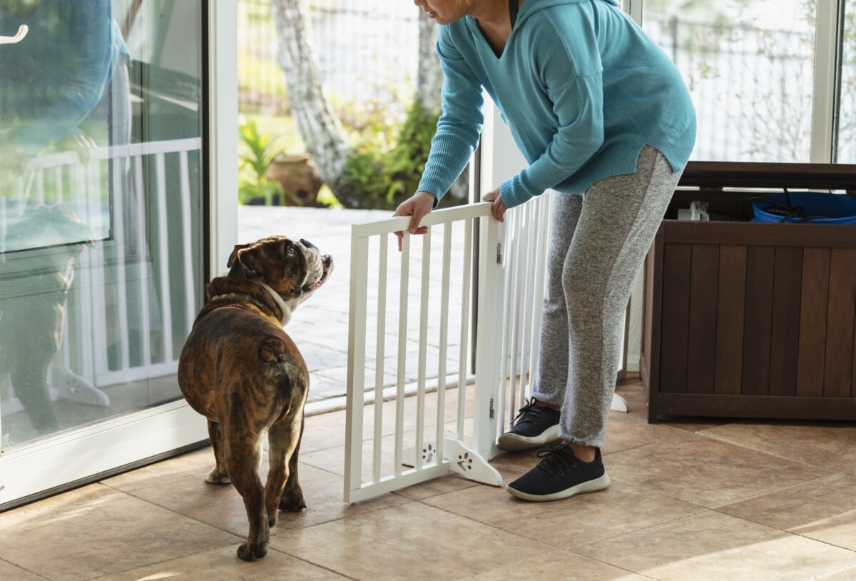 A young Asian woman in her 20s letting her dog out into the back yard. She is standing inside by an open door, moving a baby gate. She and her English bulldog are looking at each other as he walks toward the door.