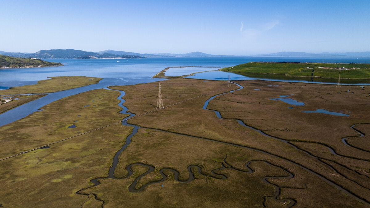 sacramento river delta