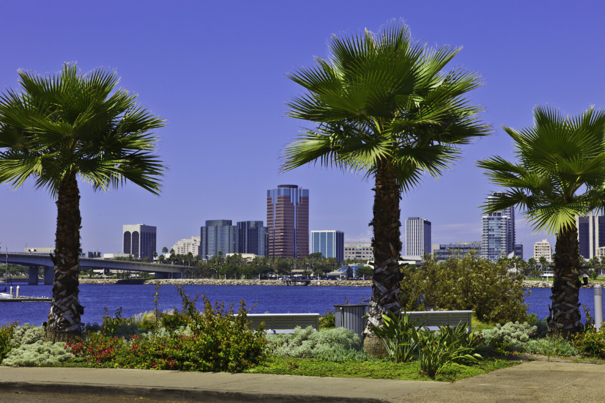 Long Beach skyline and palm trees. California _ getty