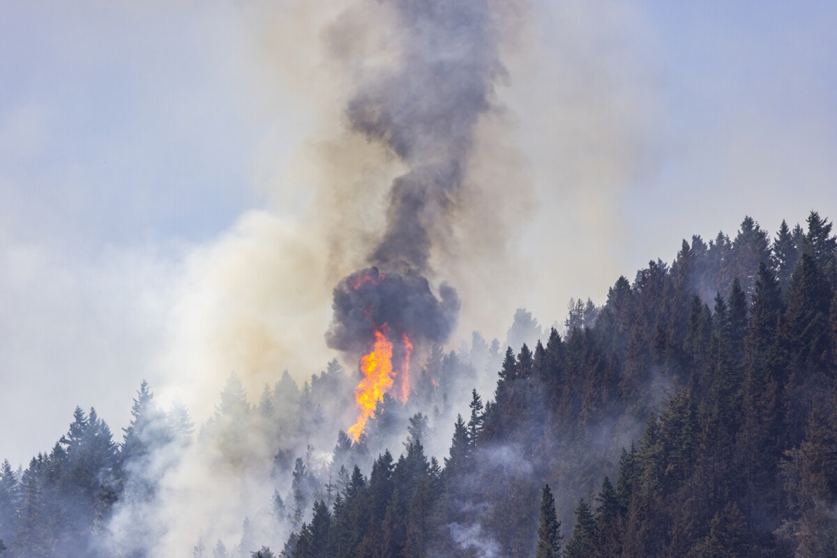 columbia gorge fire