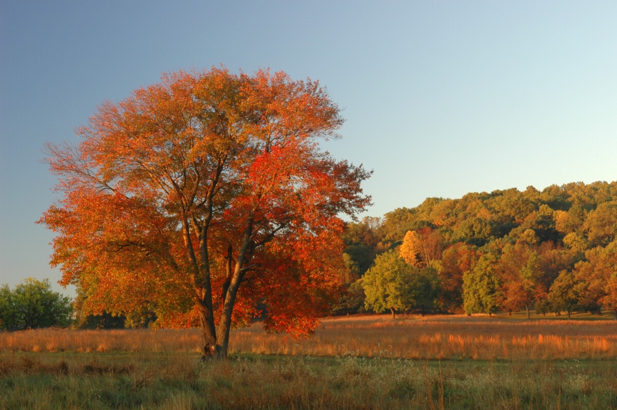 forge-national-park-pa