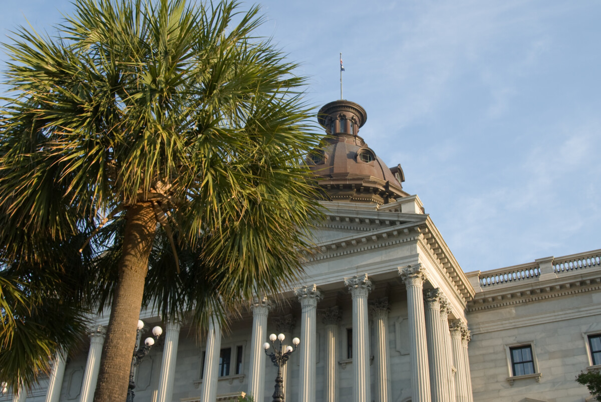 Palmetto trees at the south side of the South Carolina State House.