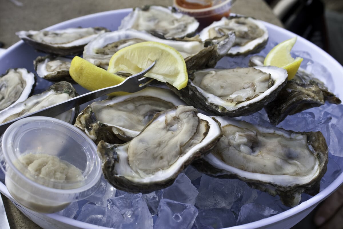 Dozen Raw Oysters