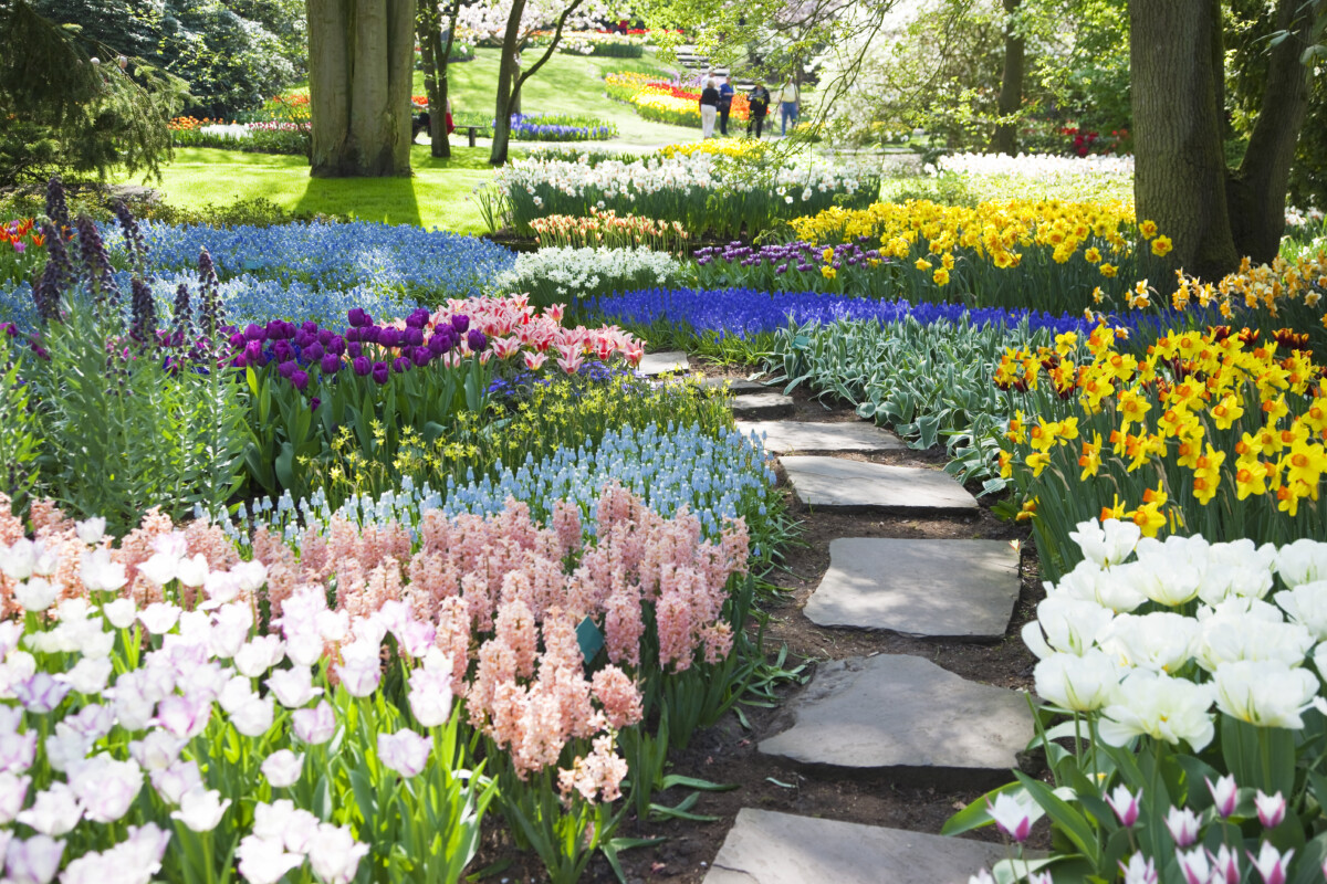 Botanical garden filled with colorful flowers