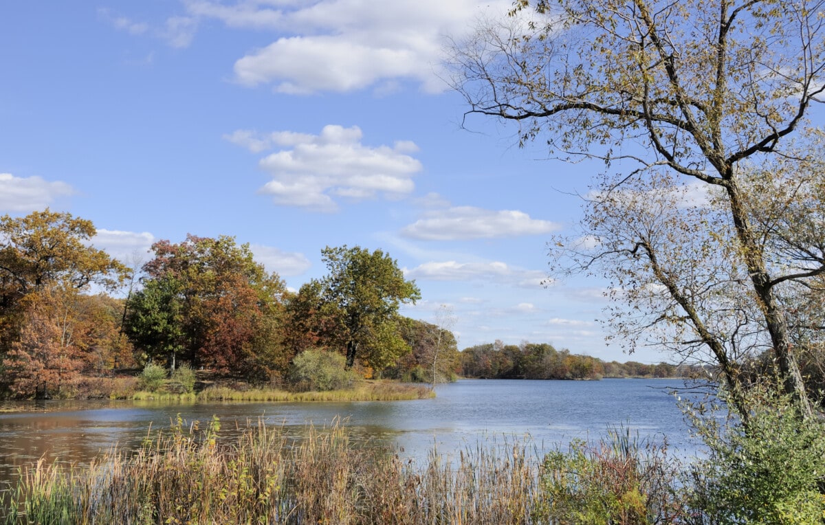 Kensington Metro Park outside of Ann Arbor, Michigan. To see some of my personal favorites, please visit my lightbox.