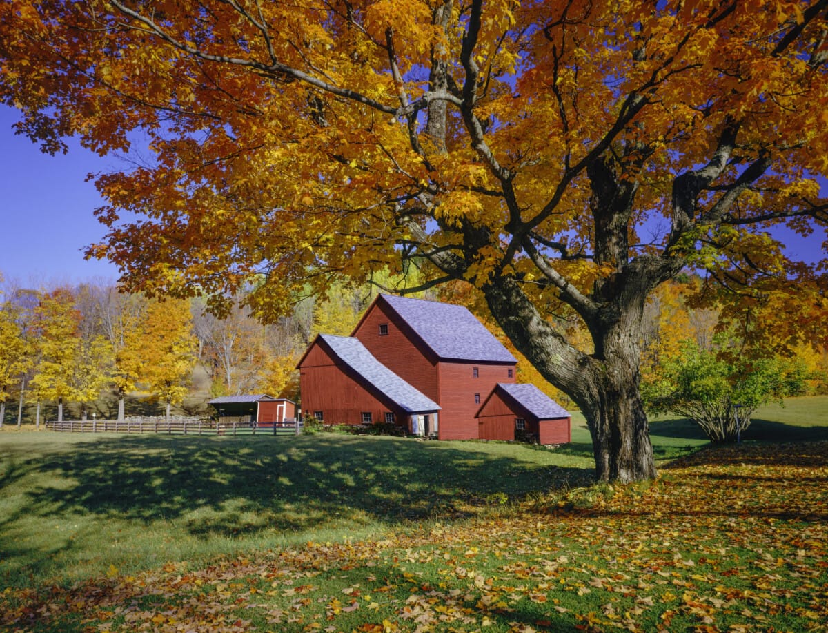 vermont-autumn