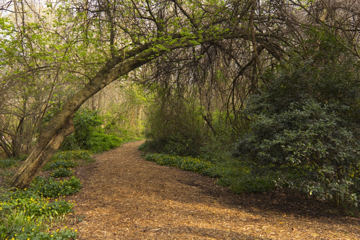 greensboro park