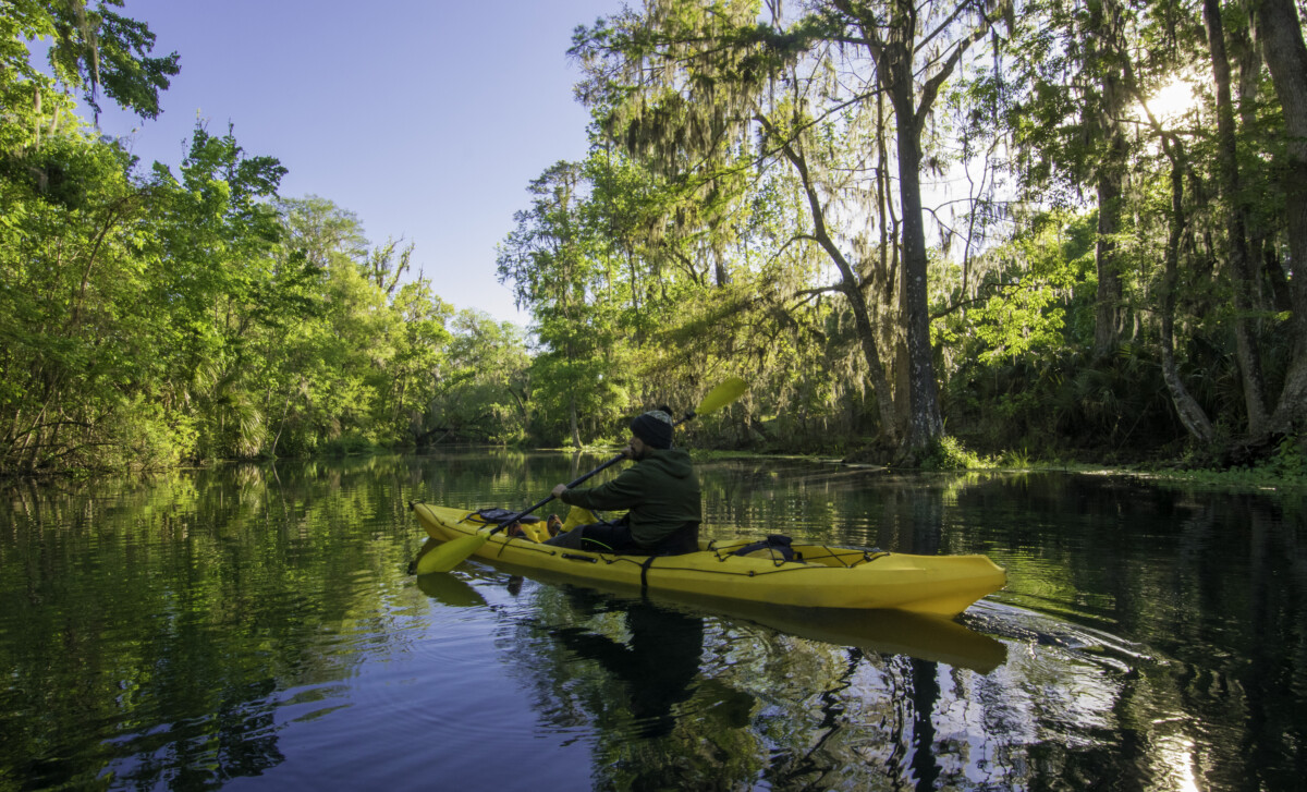 Kayaker at Dawn on the Silver River