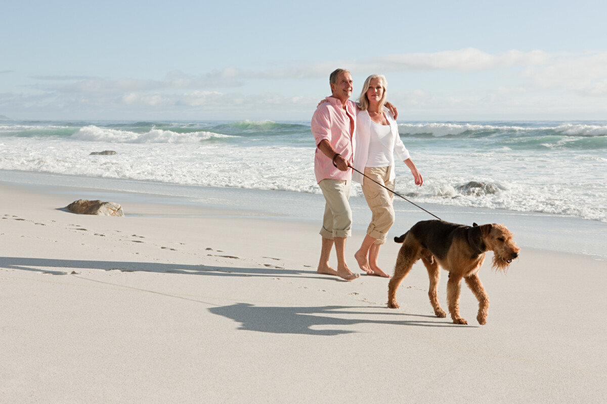Couple walking dog by the sea